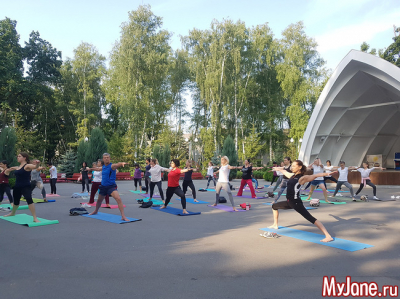 Йога для начинающих: скрутки из положения &laquo;стоя&raquo;